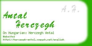 antal herczegh business card